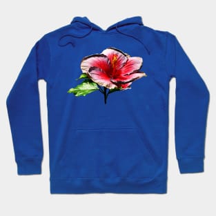 Hibiscus - Hibiscus Night Fire Hoodie